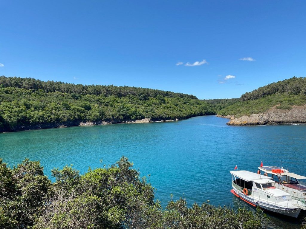 Hamsilos Koyu Sinop